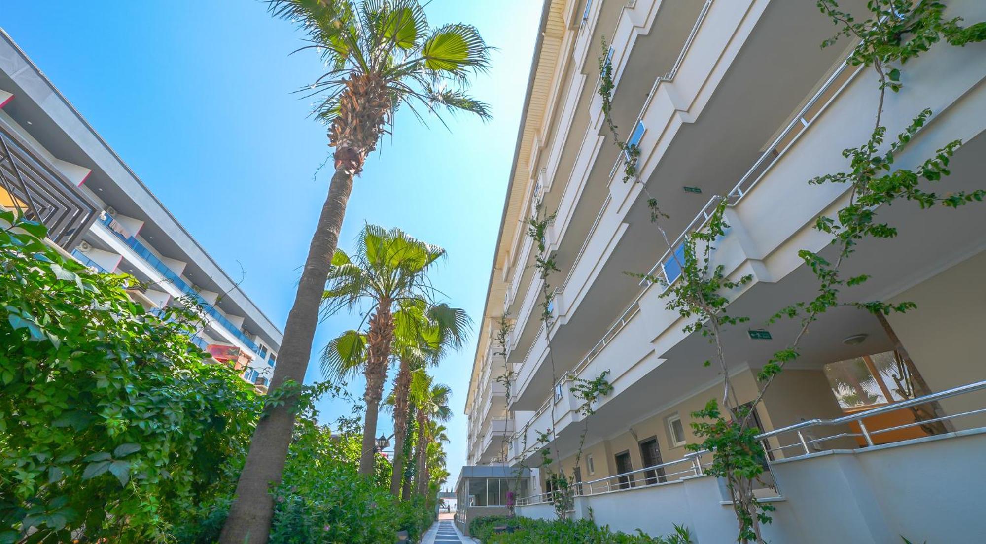 Sea Bird Beach Alanya